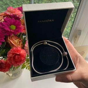 Pandora Necklace